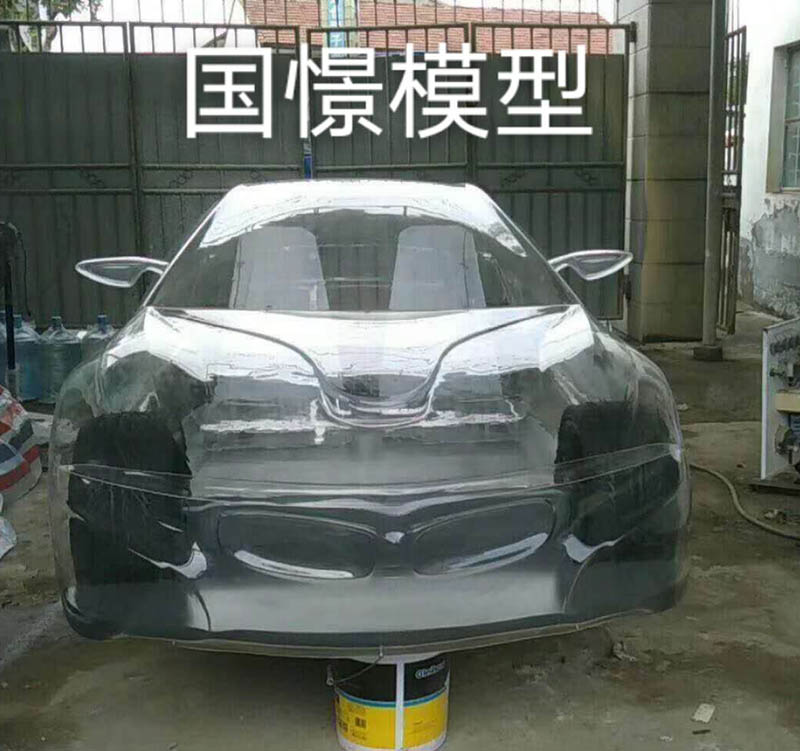夏河县透明车模型